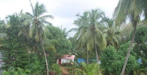Gabriel Guest House Calangute Luaran gambar